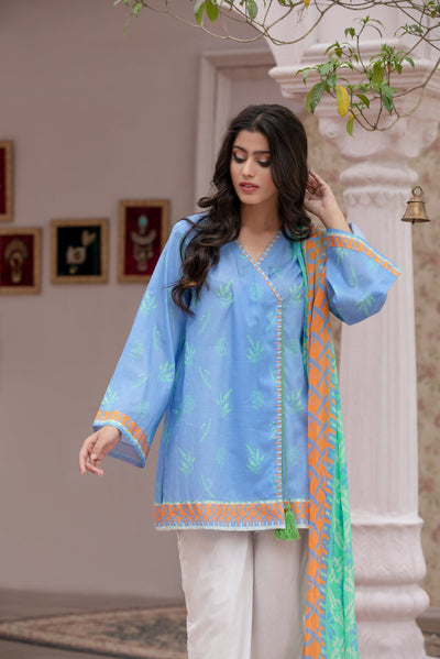 MEHRUNISA EID COLLECTION LAWN 2024