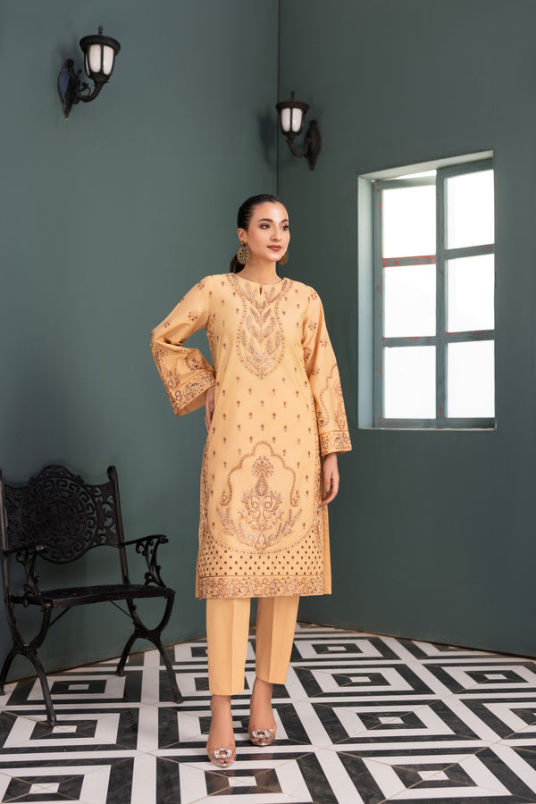 Skin Color Embroidered Poplin Suit