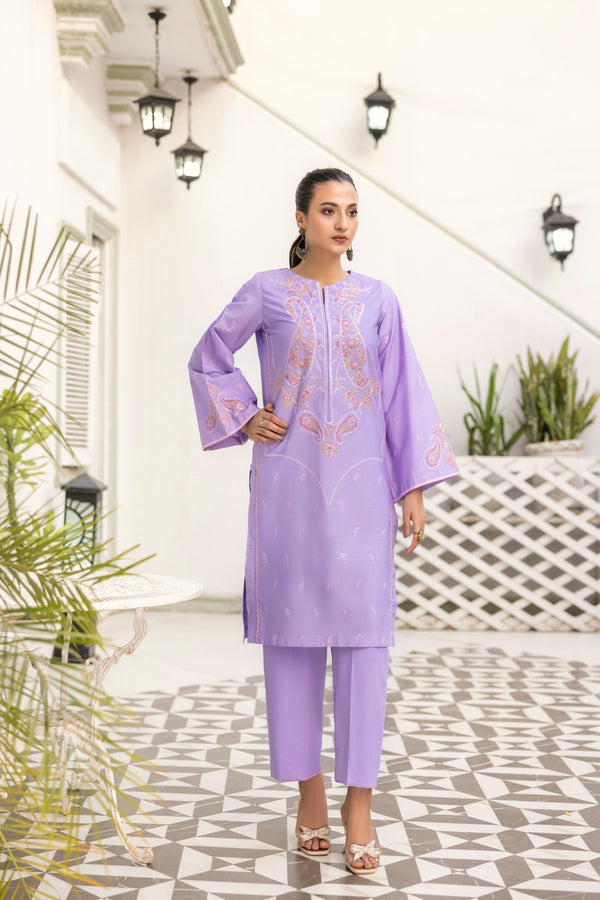 Light Blue Sitari Embroidered Poplin Suit